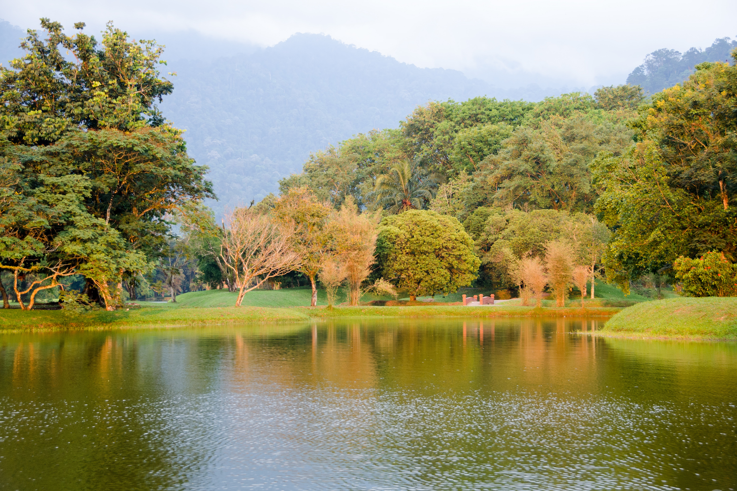 taiping (4).webp